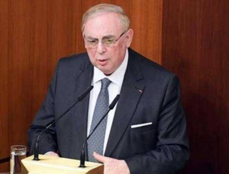 البستاني: فهمي أكد أن السلطات السعودية متجاوبة مع الإجراءات التي تتخذها الدولة