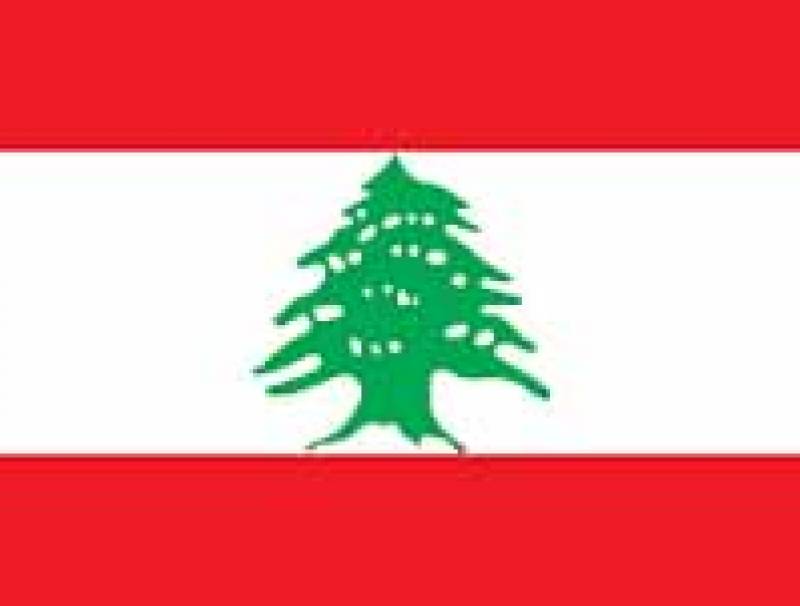 وزير يعترف: لبنان​ يحتاج الكثير ليستيعد عافيته