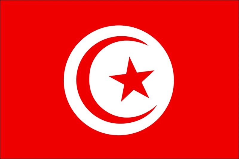 خط هاتفي مجاني للتبليغ عن حالات العنف الزوجي خلال العزل في تونس
