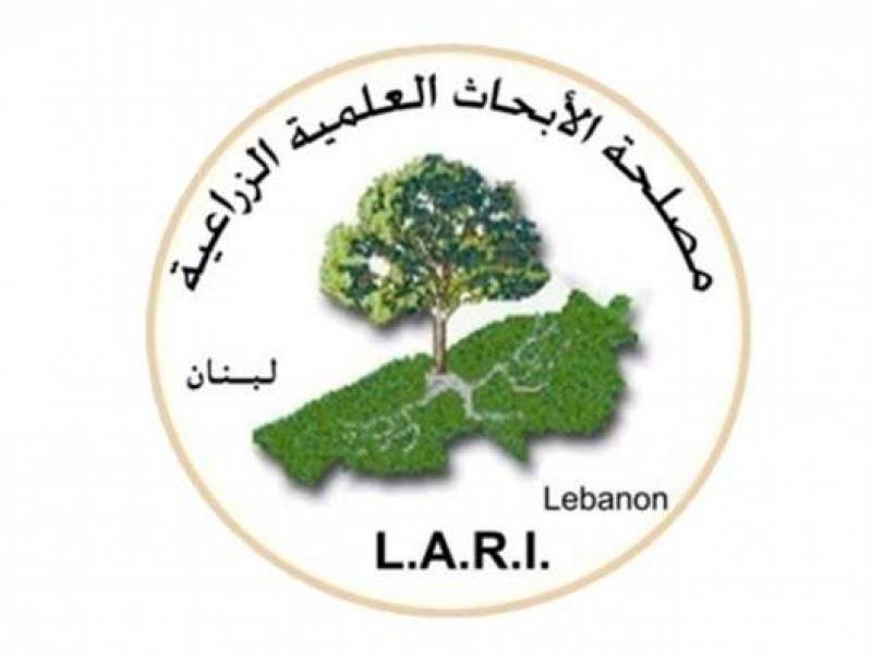 ماذا تعرف عن  مصلحة الابحاث العلمية الزراعية؟