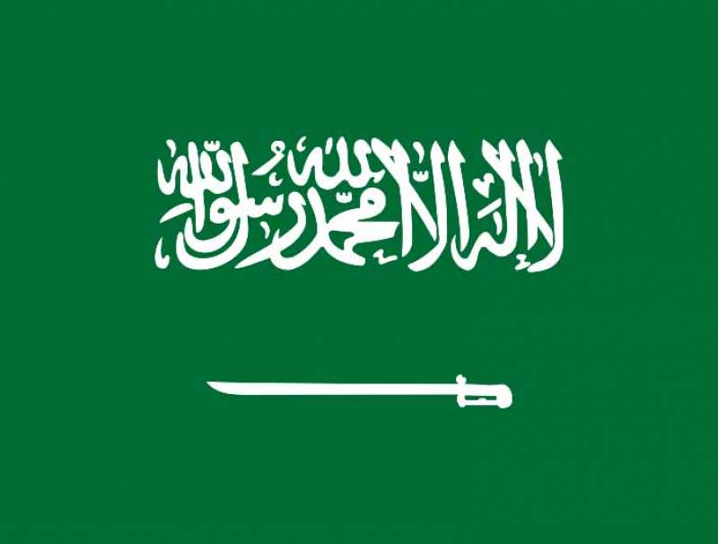  السعودية: نندد بالعدوان التركي والإيراني" على العراق