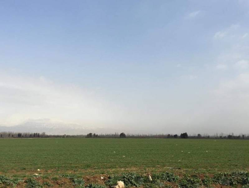 ترشيشي