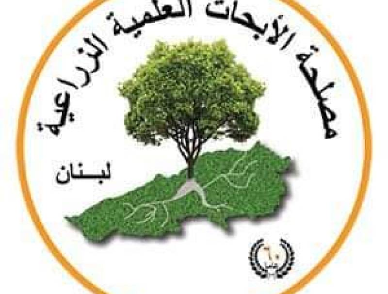 Lari