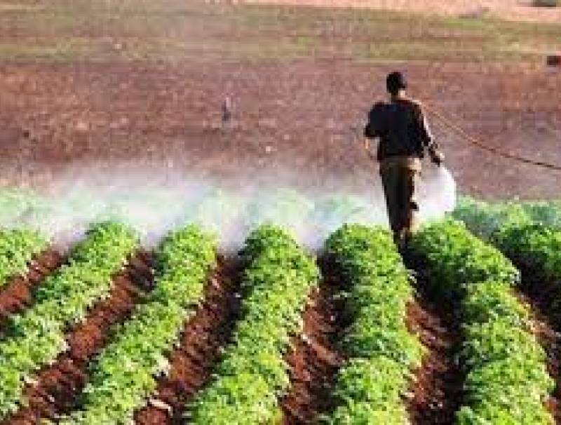 الزراعة اللبنانية من الأزمة المناخيّة... إلى تحدّيات التصدير